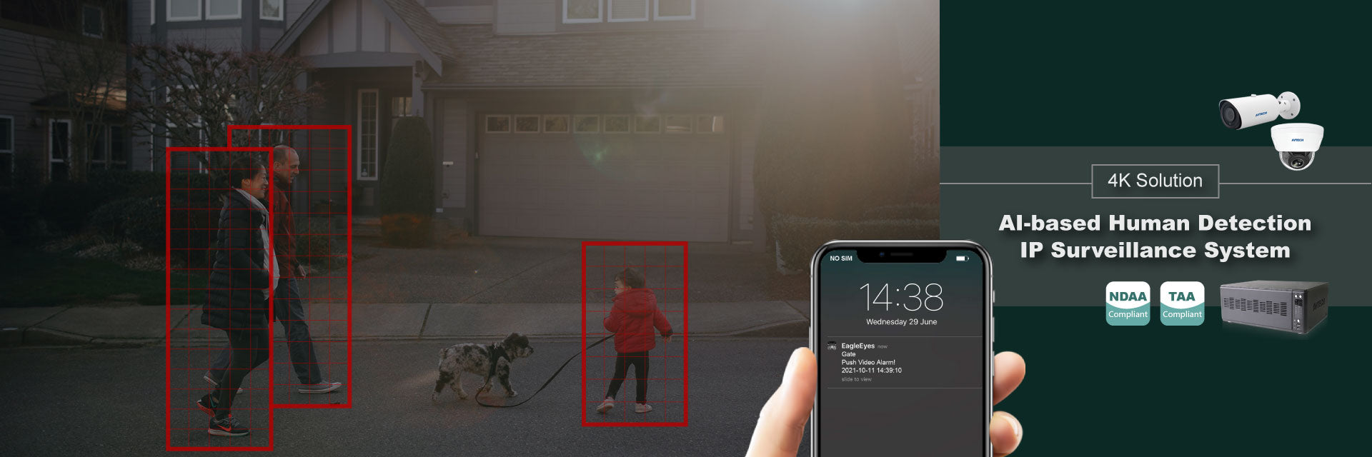IP (PoE)  Security Cameras
